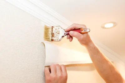 Pose de papier peint à Repel — revêtements muraux et toiles de verre
